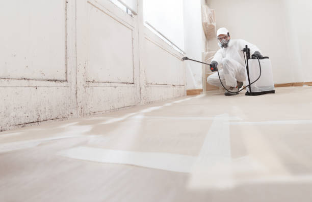 24/7 Emergency Mold Testing experts in Glencoe, IL